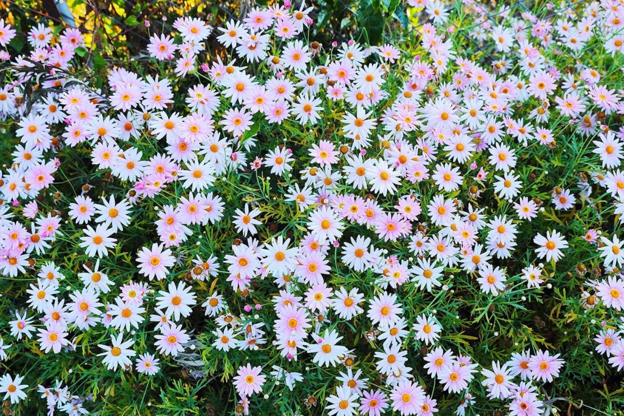 Logan Camp Ooty Hotel Coonoor Bagian luar foto