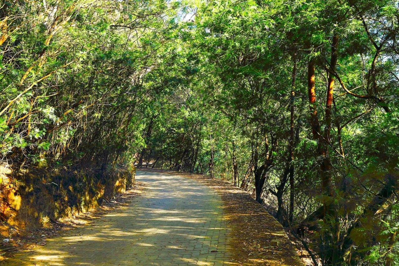 Logan Camp Ooty Hotel Coonoor Bagian luar foto
